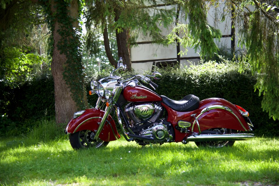 Retro springfield vintage