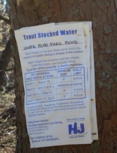Echo Lake Park sign on tree about trout