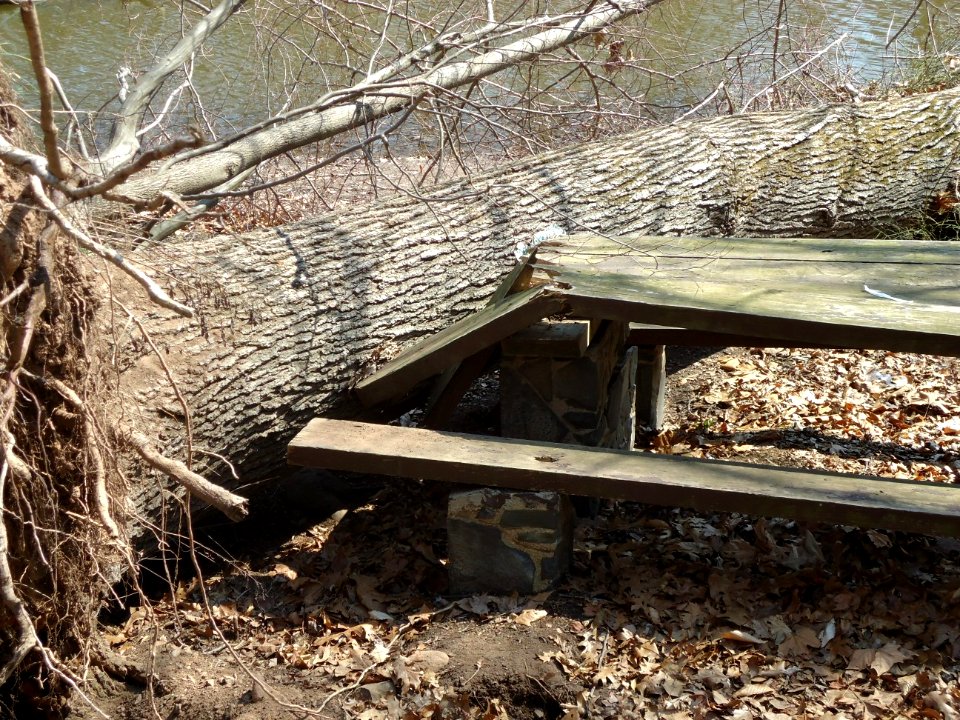 Echo Lake Park glad I was not sitting there