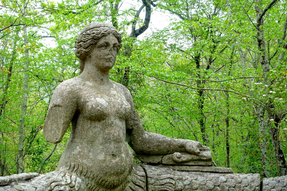 Echidna - Parco dei Mostri - Bomarzo, Italy - DSC02644