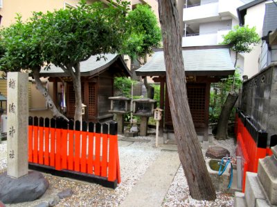 Echigo jinja Kyoto 005