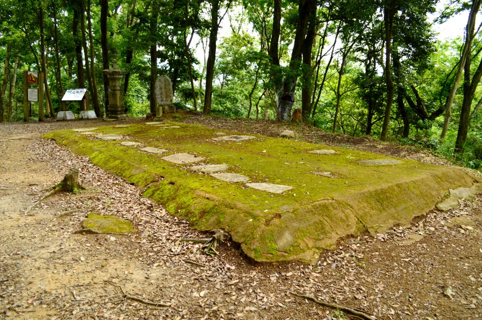 Eboshigata Castle, tatemono-1