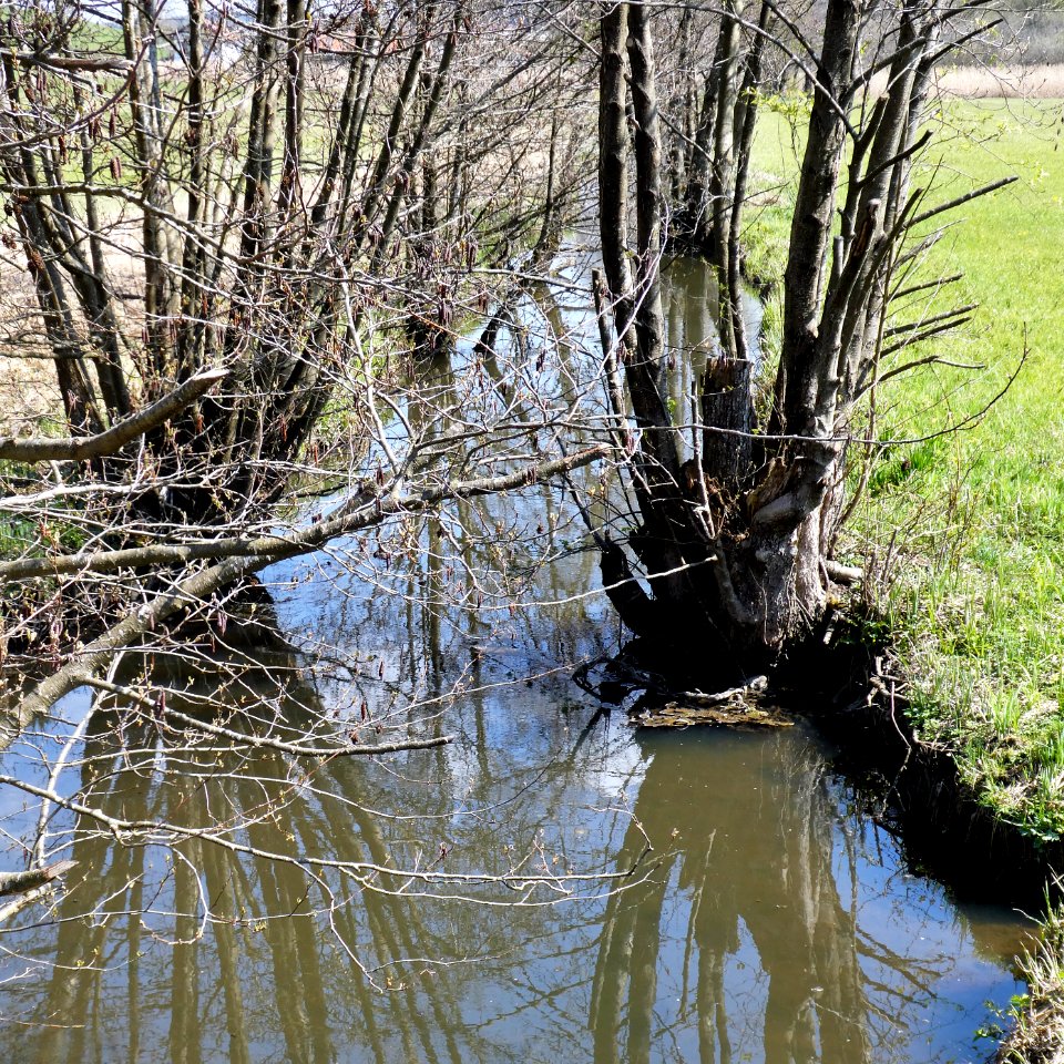 Ebersberg, Ebrach unterhalb Kleinmühlweiher, 1