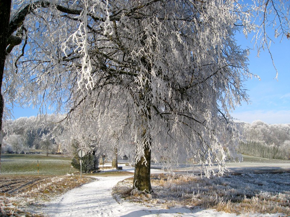Ebersberg Winter