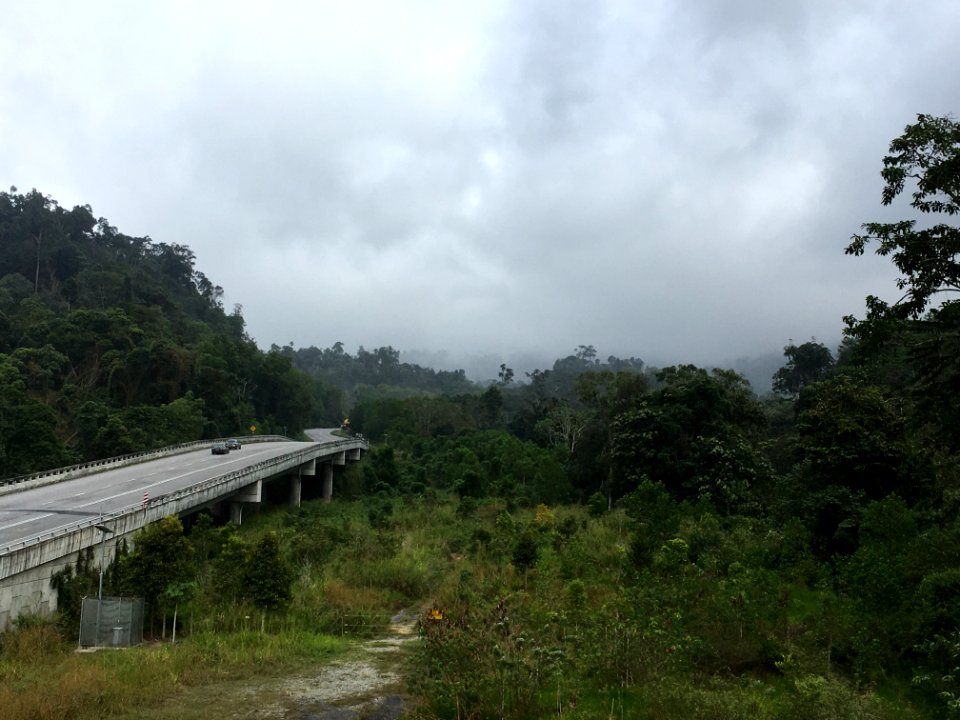 East-West Highway Wildlife Viaduct 1