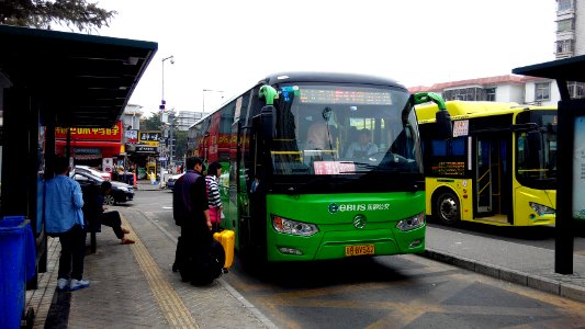 EBUS E11 photo