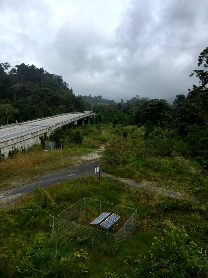 East-West Highway Wildlife Viaduct 2