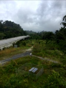 East-West Highway Wildlife Viaduct 2