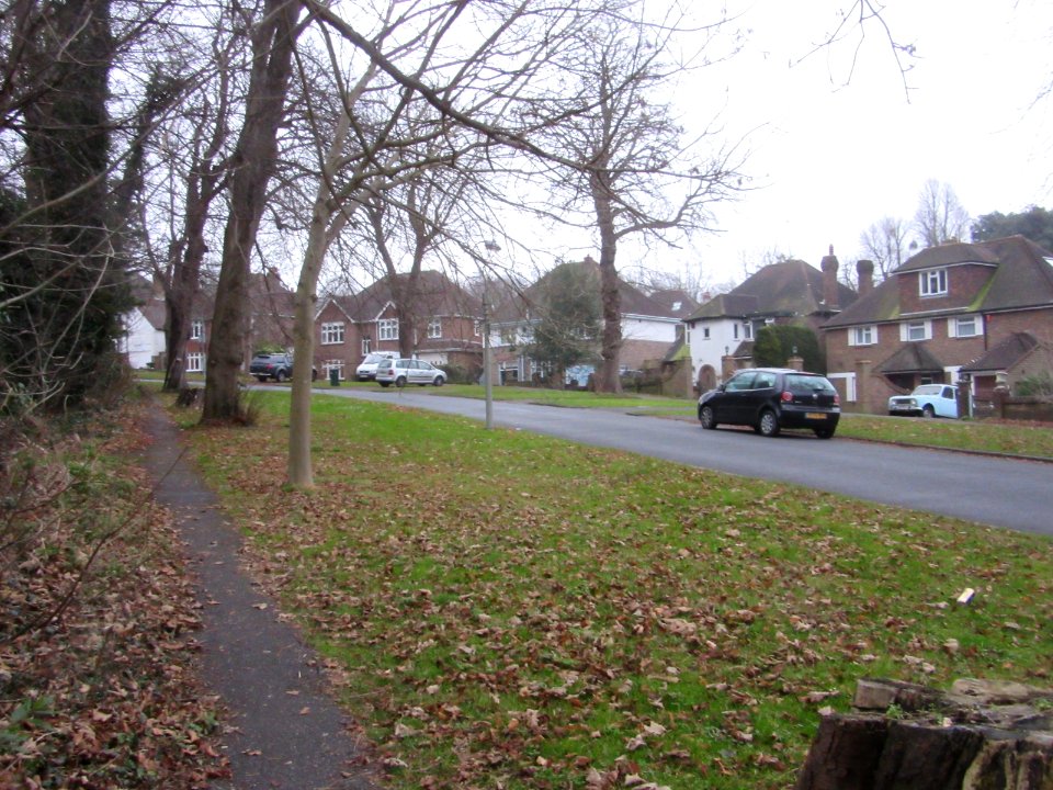 Eastward view along Peacock Lane, Withdean (December 2016)