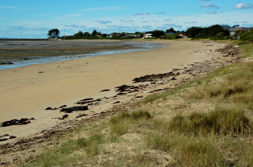 East-Wynyard-Beach-20070423-021