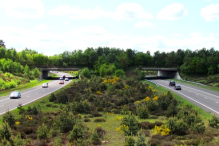 Ecoduct 'Harm van de Veen'