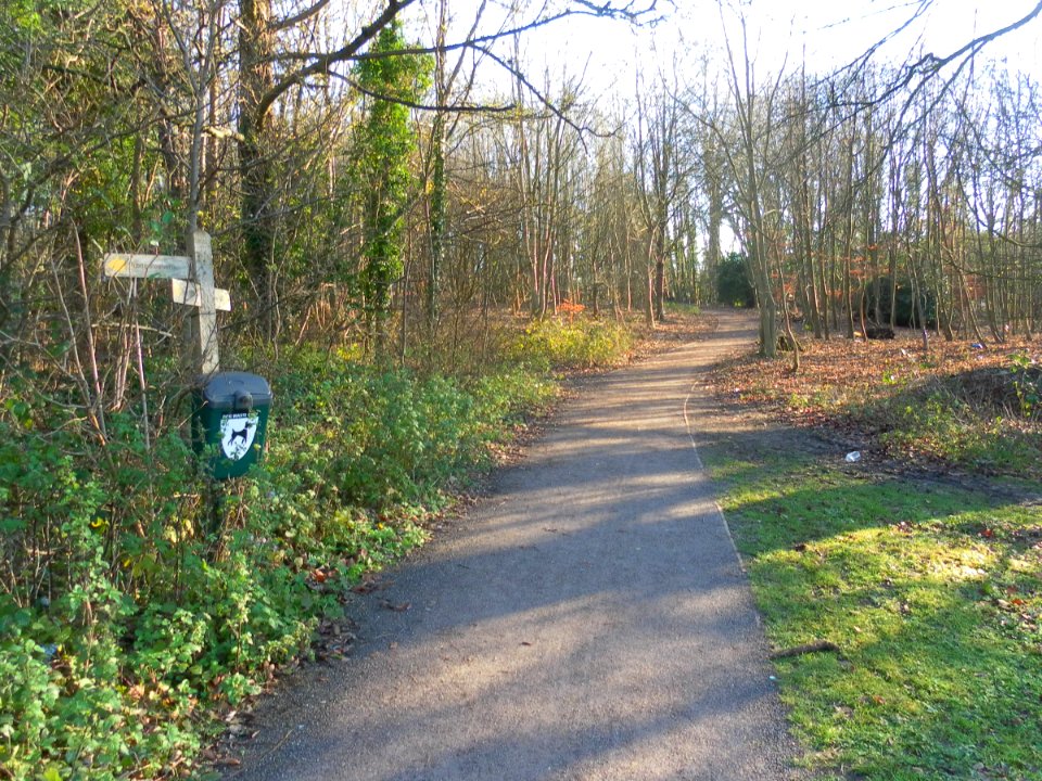 Eastward view along Footpath in Coldean Wood, Coldean, Brighton (December 2012)