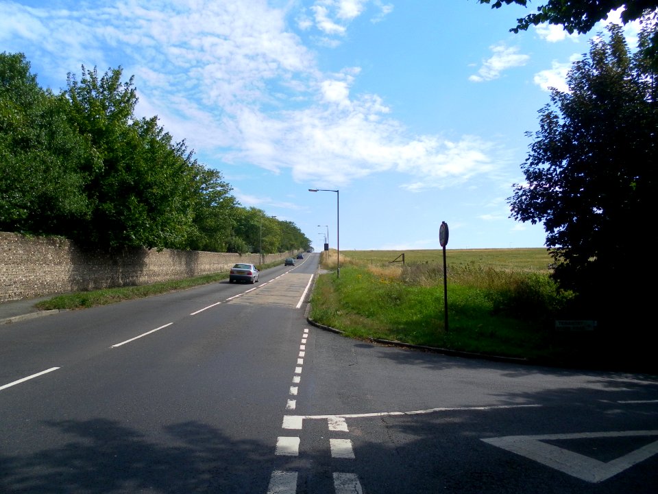 Eastward view along Bear Road from Tenantry Down Road, Race Hill, Brighton (August 2013) (1)