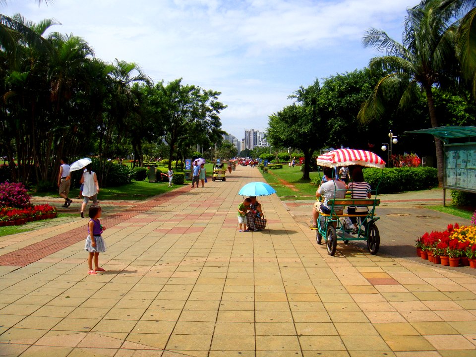East-west road in Evergreen Park