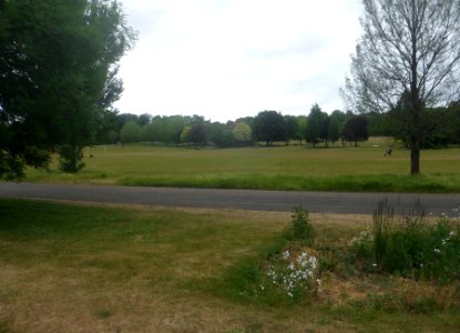 Eastward view across Preston Park from Nestor Court Bus Stop, Preston Park, Brighton (June 2020)