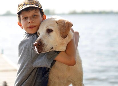 Complicity labrador pet
