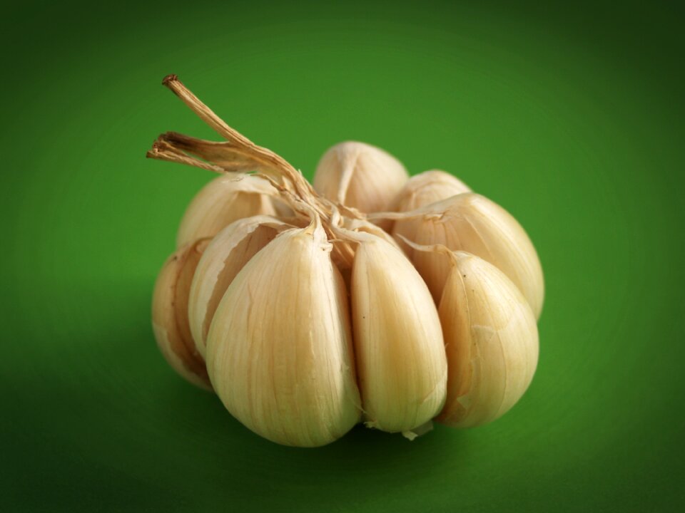 White clove closeup