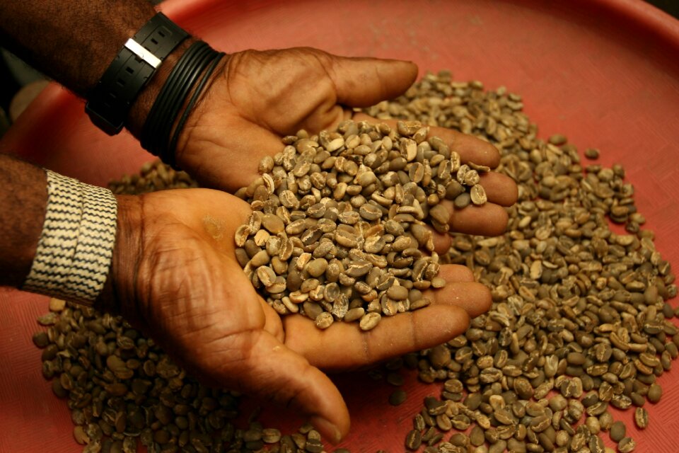 Agriculture farmer merchant