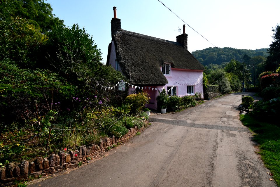 Dunster (2020-09-16) 65