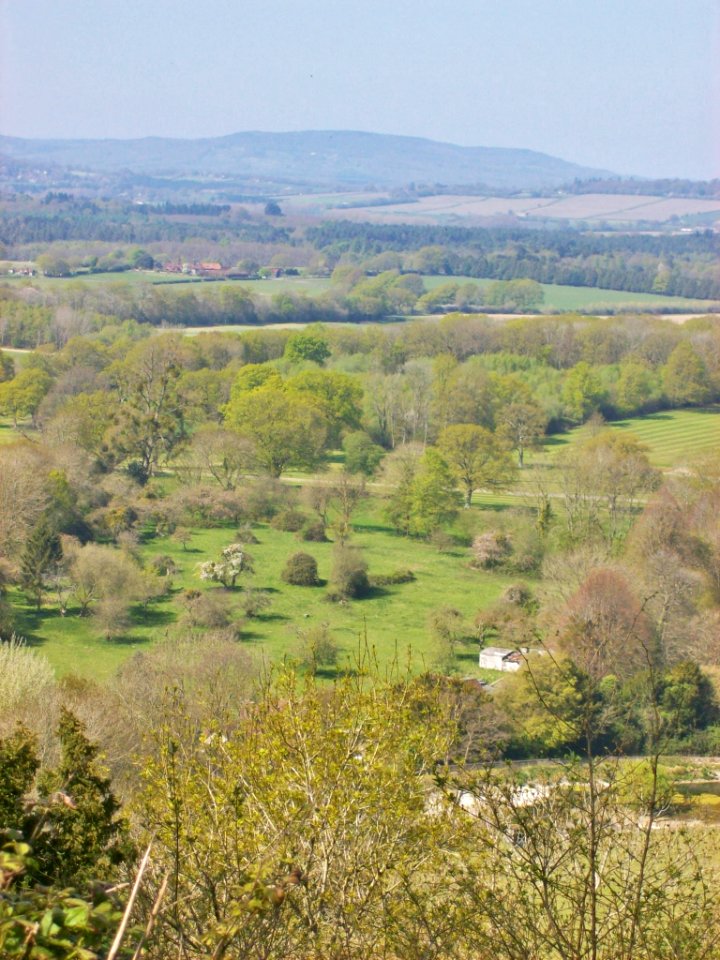 Duncton Hill, looking towards Black Down
