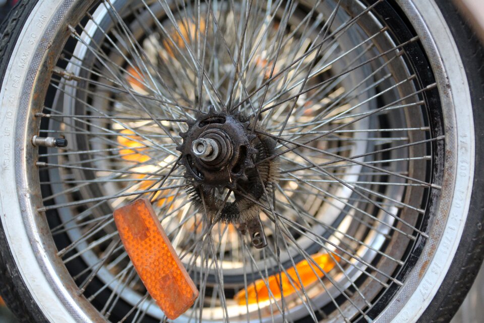 Wheels wheel mature