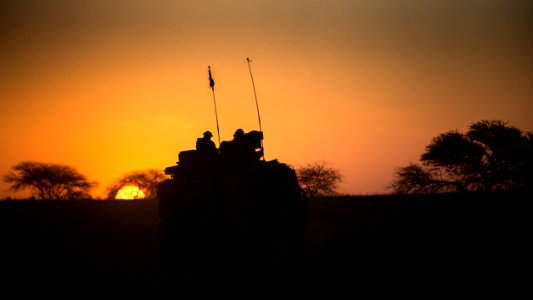 Dutch Bushmaster in Mali