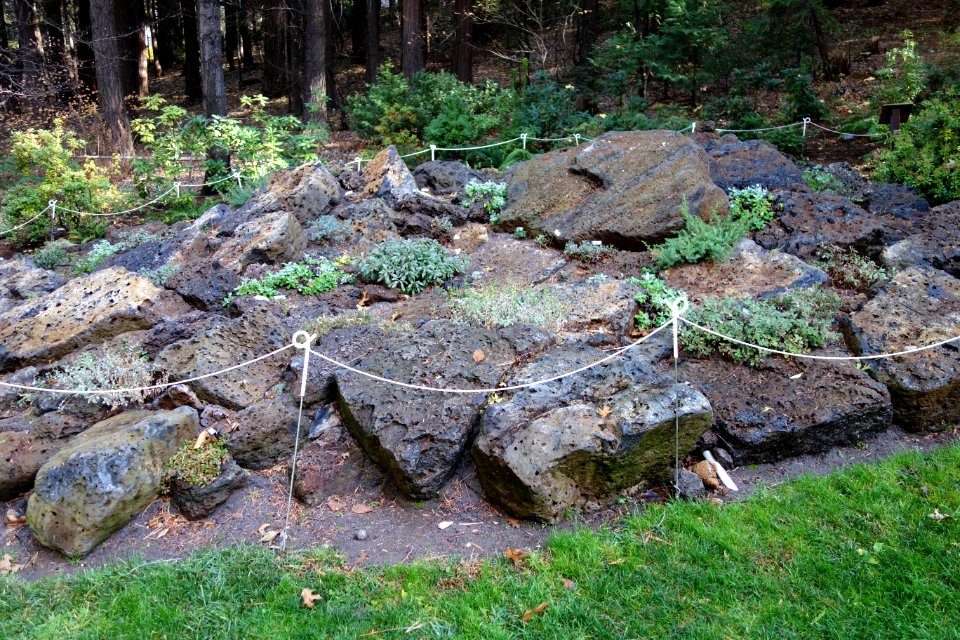 Dunsmuir Botanical Gardens - DSC02919