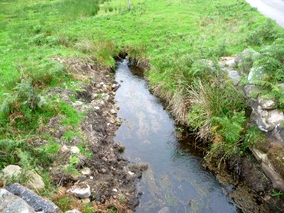 Dunsop Valley 11