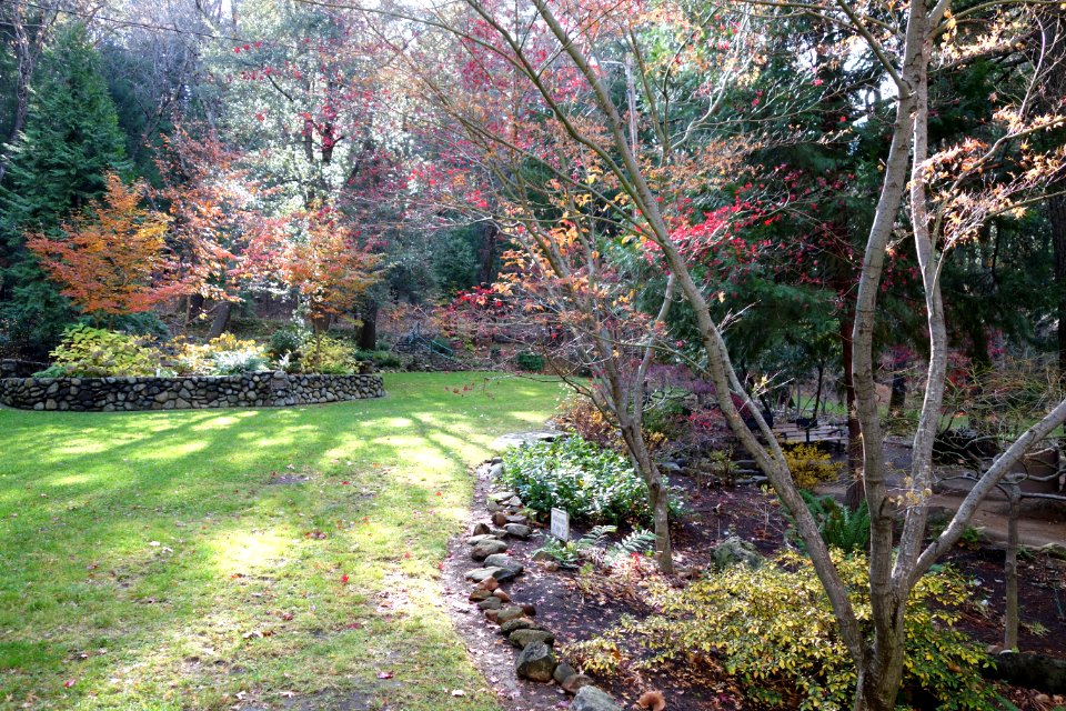 Dunsmuir Botanical Gardens - DSC02907