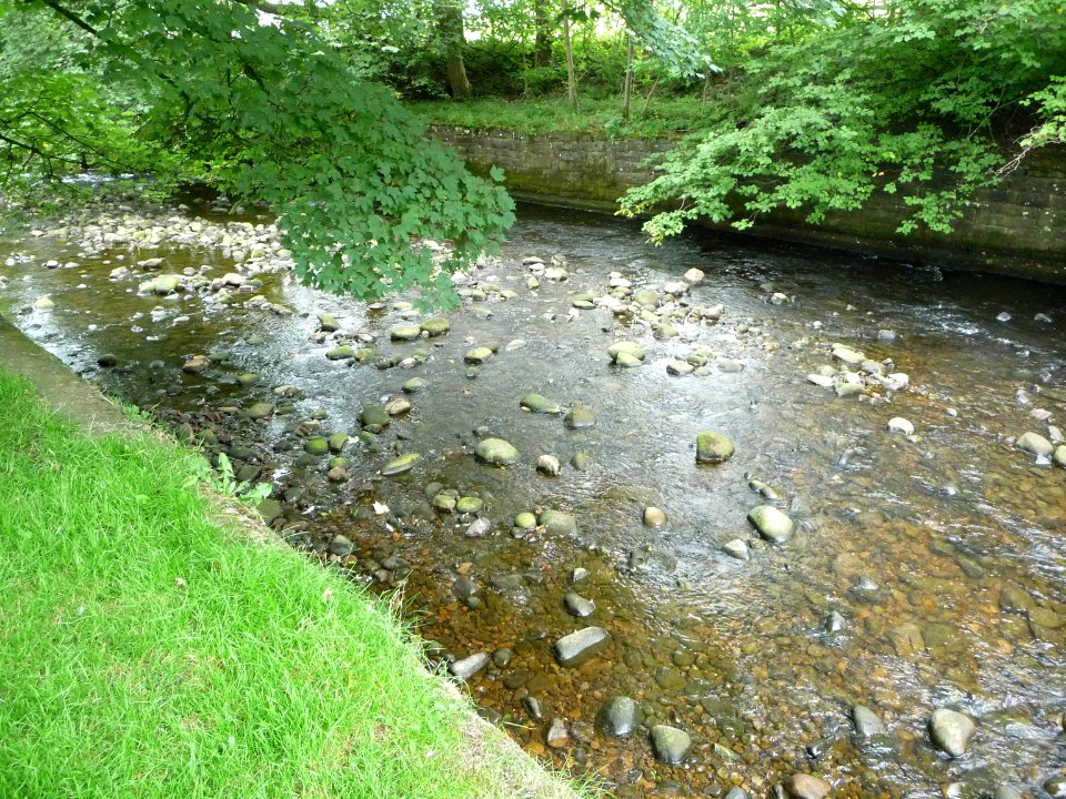 Dunsop River 08
