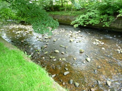 Dunsop River 08