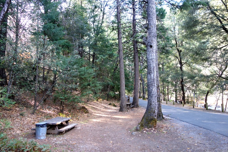 Dunsmuir Botanical Gardens - DSC02905