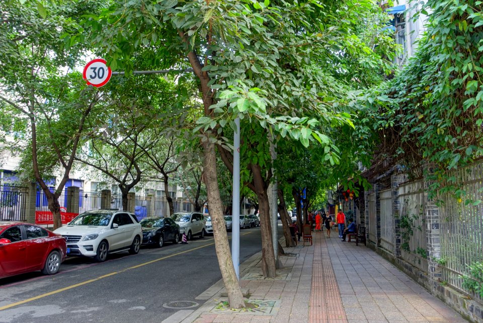 Duozi Alley - Chengdu, China - DSC05299