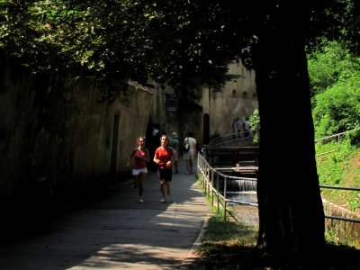 DupaZiduri11