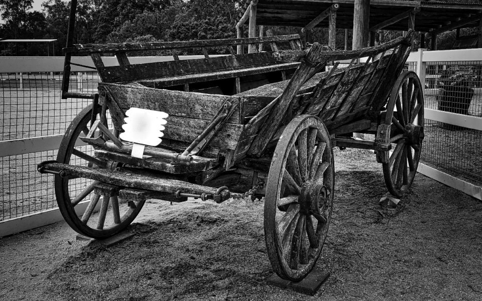 Transport carriage transportation