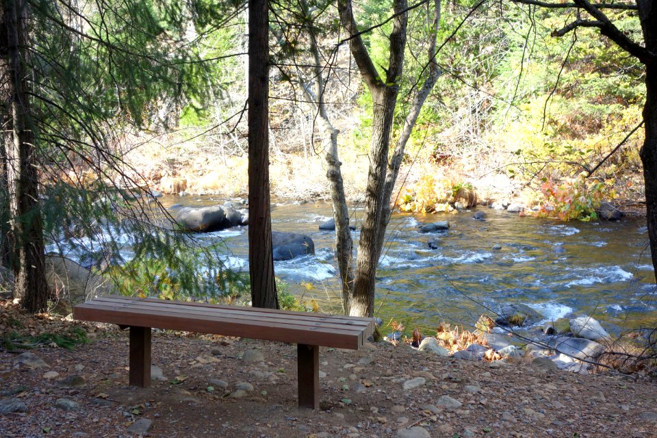 Dunsmuir Botanical Gardens - DSC02906