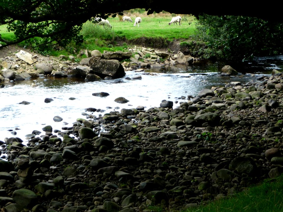 Dunsop River 02