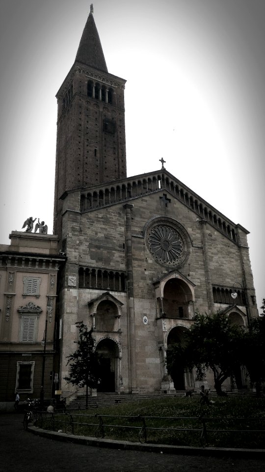Duomo di Piacenza 4
