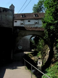 DupaZiduri15