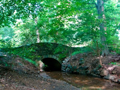 Dunbarton Park Bridge DC photo