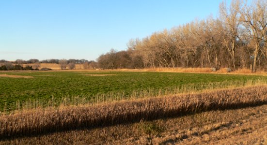 Dunbar Pawnee mission site (Nance County, Nebraska) (1)