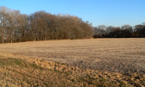 Dunbar Pawnee mission site (Nance County, Nebraska) (2)