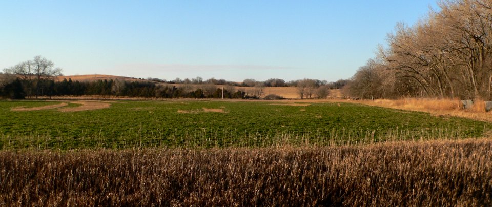Dunbar Pawnee mission site (Nance County, Nebraska) (3)