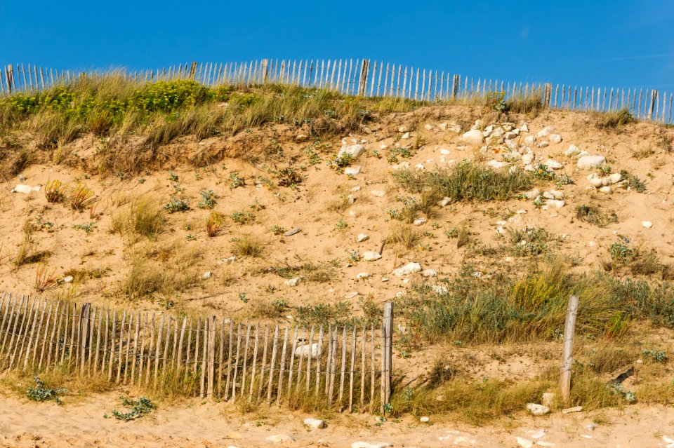 Dune, Sainte-Marie-de-Ré, Ré island, Charente-Maritime, France
