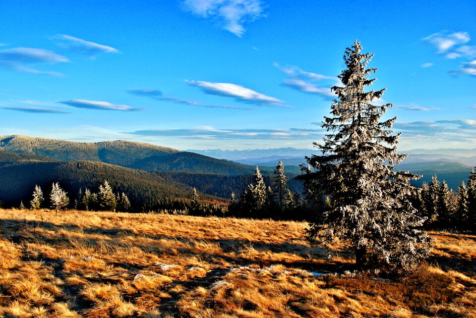 Tatry meadow landscape