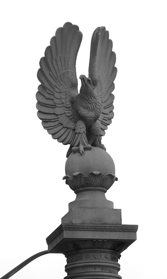 Eagle, Boulevard of the Allies, Pittsburgh, 2020-02-18, 01