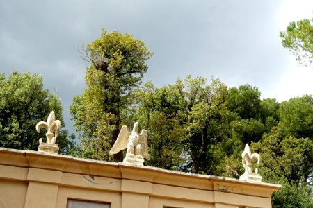 Eagle - Fontana di Proserpina - Villa d'Este - Tivoli, Italy - DSC03983