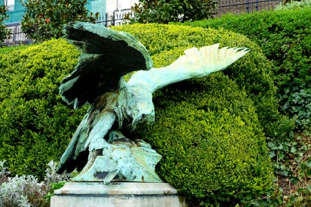 Eagle by Henri Boncquet - Botanical Garden of Brussels - Brussels, Belgium -DSC06758