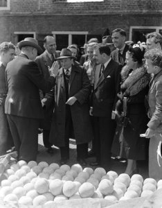 Duver op Kaasmarkt Alkmaar, Bestanddeelnr 903-3885