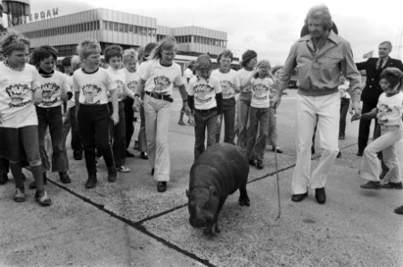 Dwergnijlpaard Hugo de Hippo op Zestienhoven aangekomen schoolkinderen en het dw, Bestanddeelnr 928-6205
